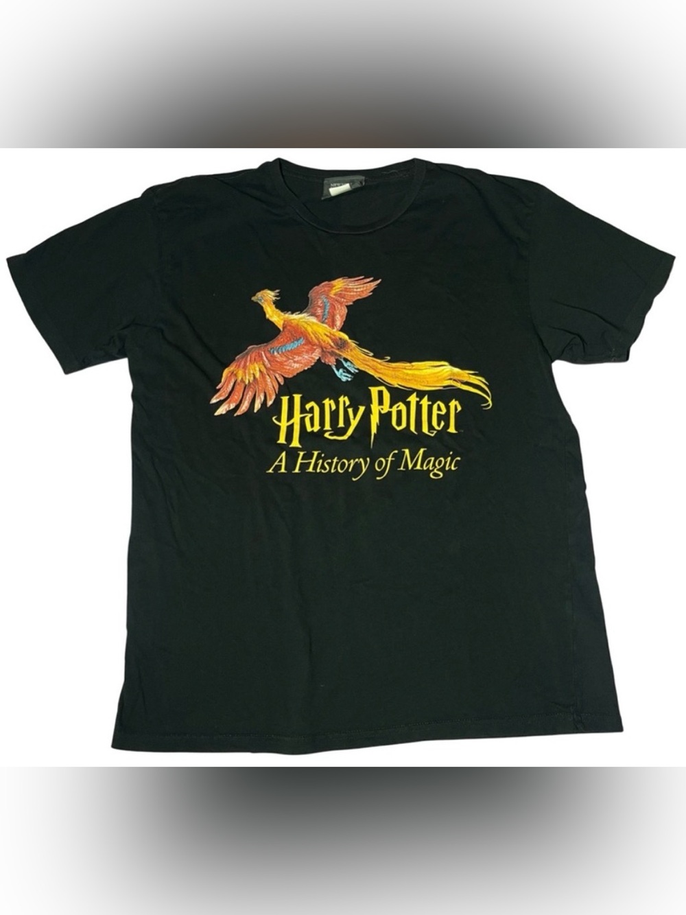 Harry Potter New York Historical Society Large History Of Magic Phoenix T-Shirt
